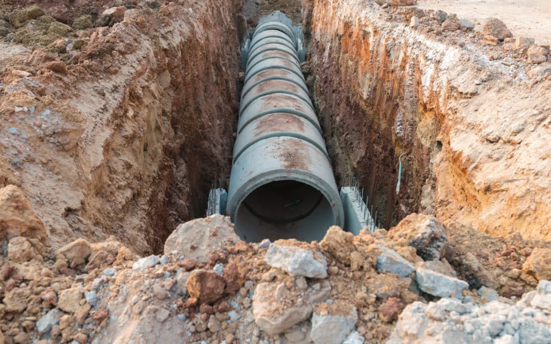 Telltale Signs Your Sewer Line Requires Immediate Repair