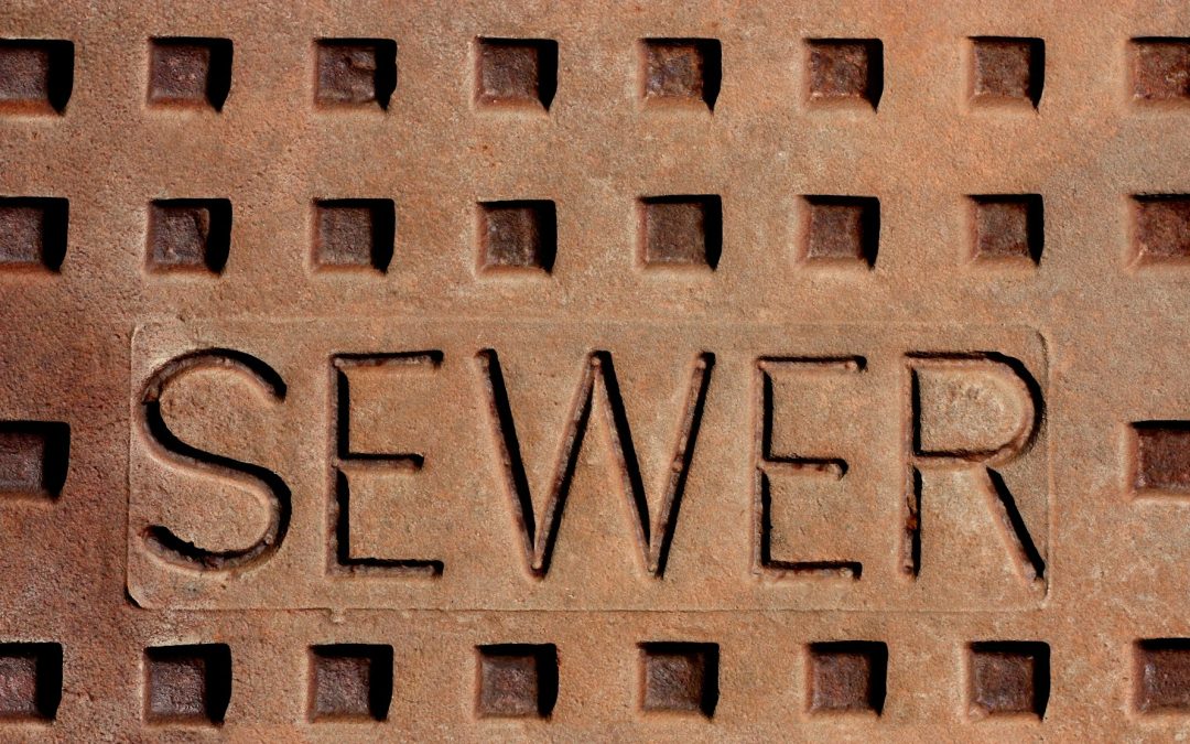 Signs You Need Sewer Line Repair