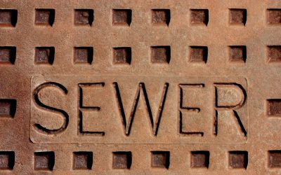 Signs You Need Sewer Line Repair