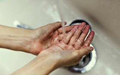 Choosing the Best Water Filtration System for Your Home