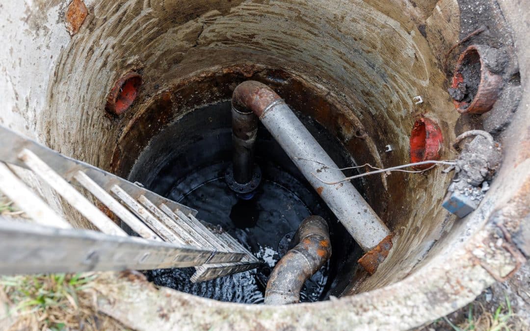 What Causes Sewer Line Blockages and How to Prevent Them