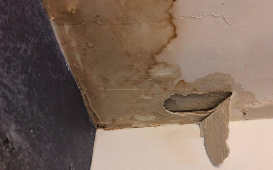 Key Indicators of Slab Leaks and How to Address Them