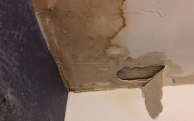 Key Indicators of Slab Leaks and How to Address Them